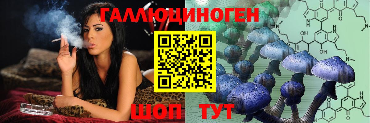 Галлюциногенные грибы Cubensis Владикавказ
